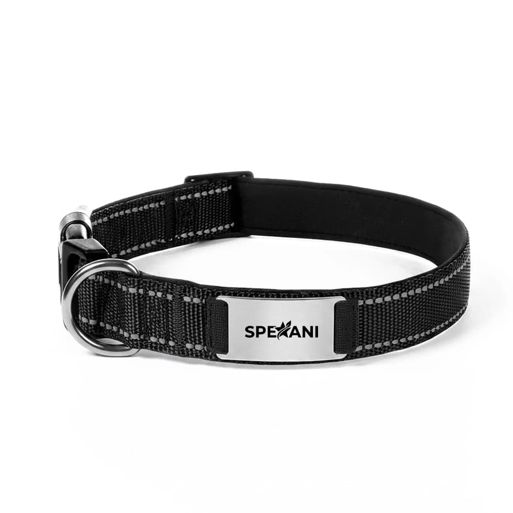 Reflective Stitched Nylon Dog Collar gallery 3