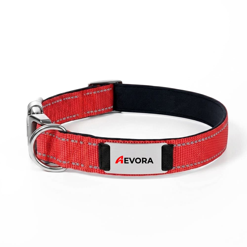 Reflective Stitched Nylon Dog Collar gallery 2