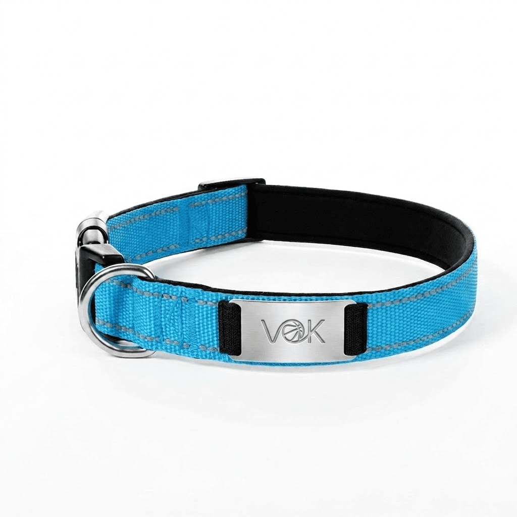 Reflective Stitched Nylon Dog Collar gallery 1
